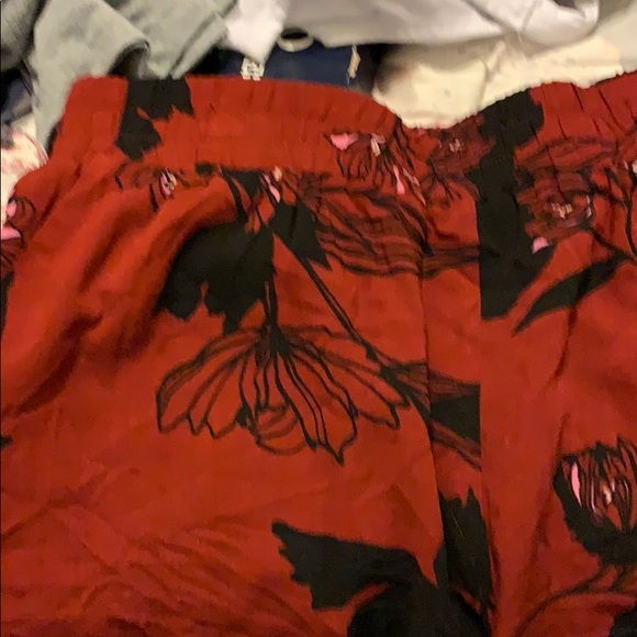 Apt. 9 Pants - Shorts